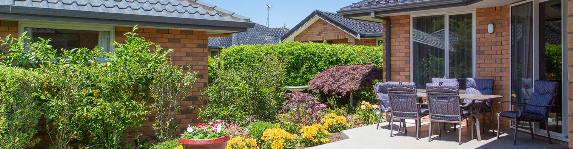 Omokoroa Village backyard garden in bloom